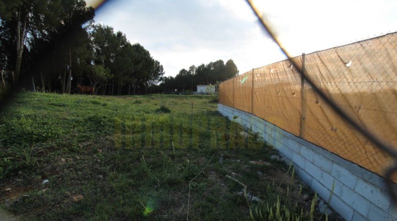 Málaga - Villanueva del Trabuco - 600m2