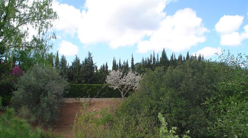 Málaga - Villanueva del Rosario - 9500m2