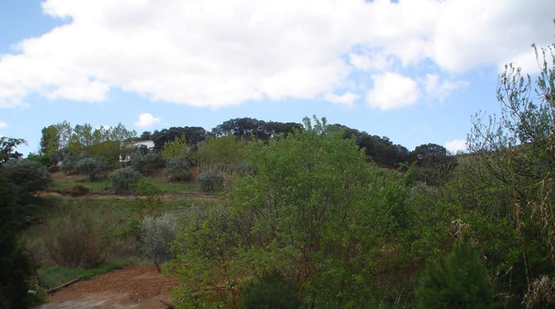 Málaga - Villanueva del Rosario - 9500m2