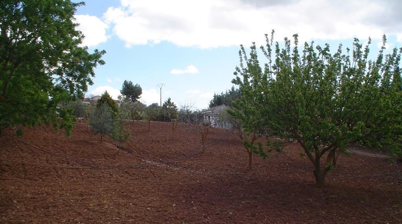Málaga - Villanueva del Rosario - 9500m2