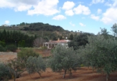 Xalet independent amb terreny en venda a Villanueva del Rosario ref.: TR13422 foto
