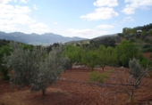 Xalet independent amb terreny en venda a Villanueva del Rosario ref.: TR13422 foto