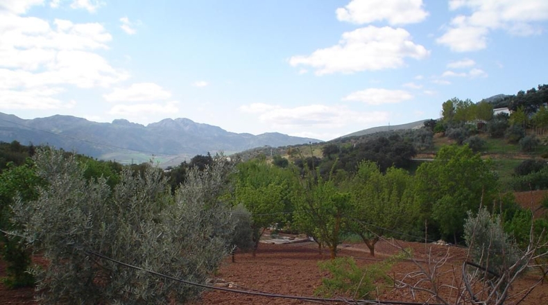 Málaga - Villanueva del Rosario - 9500m2