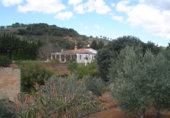 Xalet independent amb terreny en venda a Villanueva del Rosario ref.: TR13422 foto