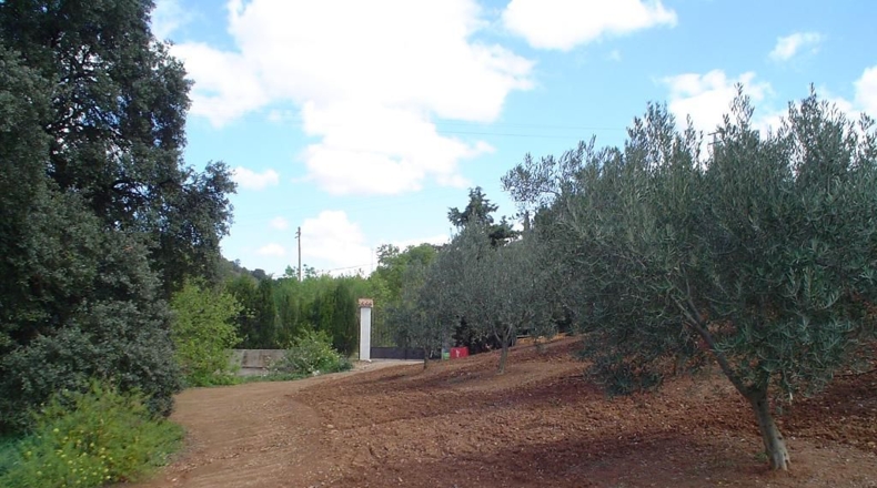 Málaga - Villanueva del Rosario - 9500m2