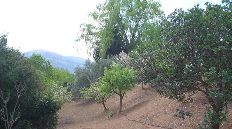Málaga - Villanueva del Rosario - 9500m2