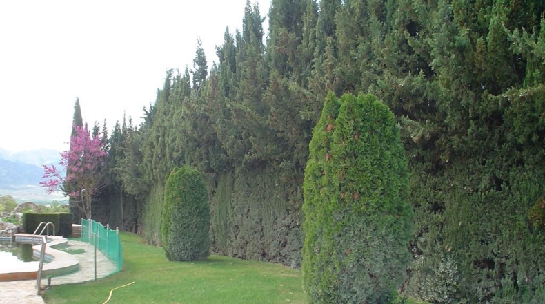 Málaga - Villanueva del Rosario - 9500m2