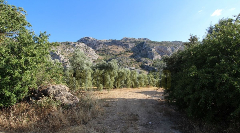 Málaga - Villanueva del Rosario - 12000m2