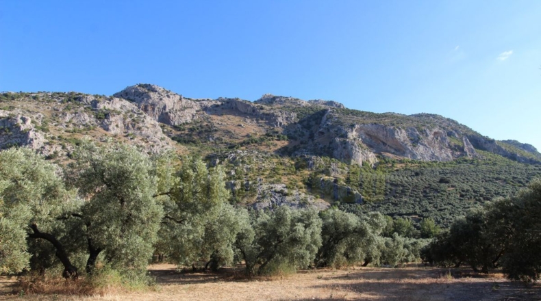 Málaga - Villanueva del Rosario - 12000m2