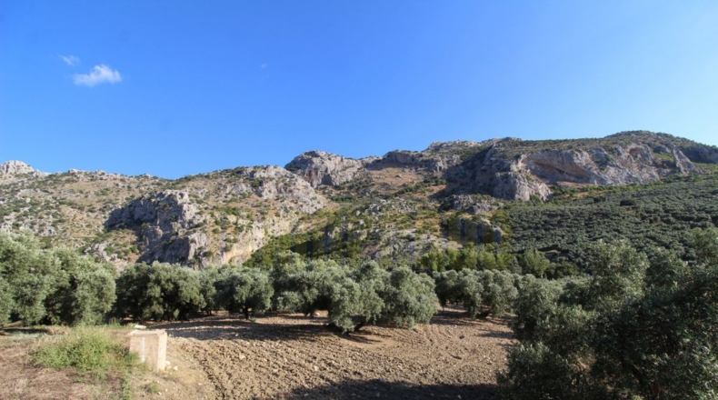 Málaga - Villanueva del Rosario - 12000m2