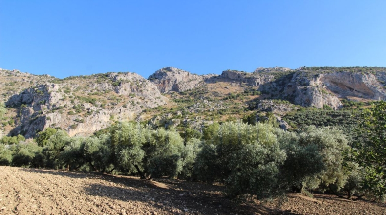 Málaga - Villanueva del Rosario - 12000m2
