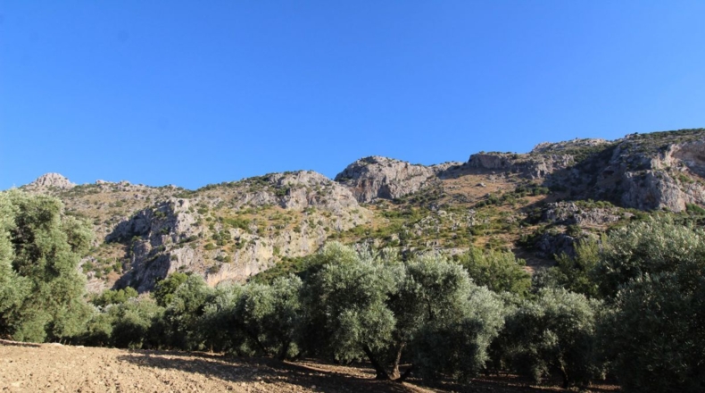 Málaga - Villanueva del Rosario - 12000m2