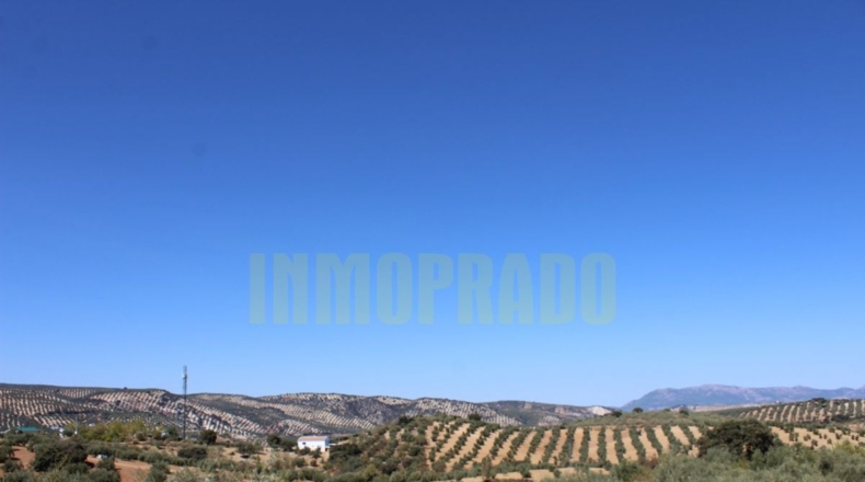 Málaga - Villanueva de Tapia - 9000m2