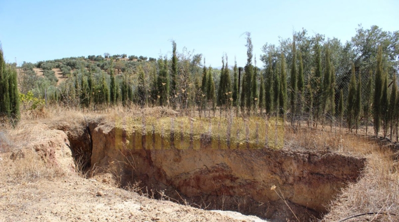 Málaga - Villanueva de Tapia - 9000m2