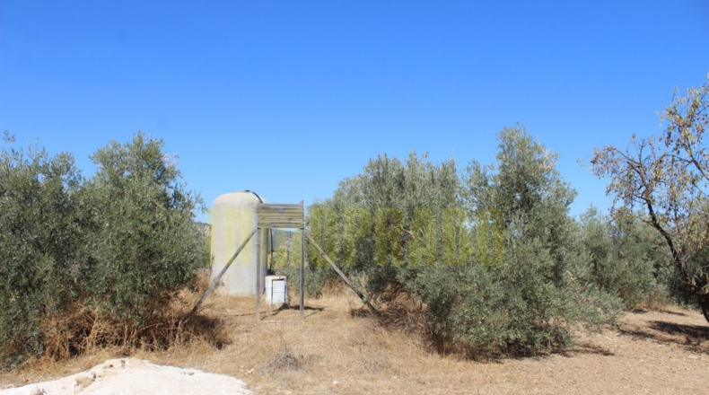 Málaga - Villanueva de Tapia - 9000m2