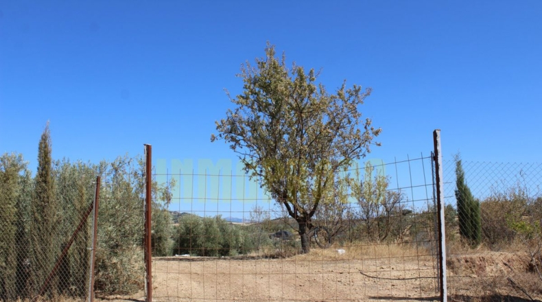 Málaga - Villanueva de Tapia - 9000m2
