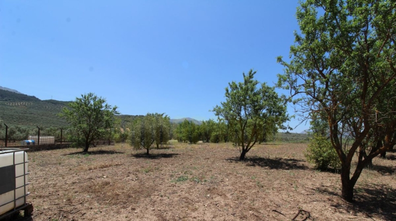 Málaga - Villanueva del Rosario - 4000m2
