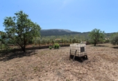 Xalet independent amb terreny en venda a Villanueva del Trabuco ref.: TR50467 foto