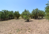 Xalet independent amb terreny en venda a Villanueva del Trabuco ref.: TR50467 foto