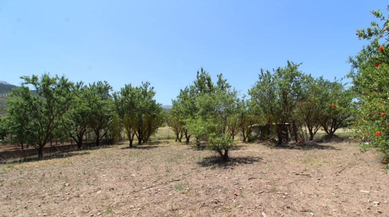 Málaga - Villanueva del Rosario - 4000m2