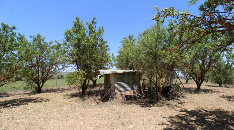 Málaga - Villanueva del Rosario - 4000m2