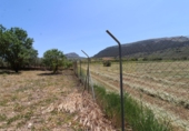 Xalet independent amb terreny en venda a Villanueva del Trabuco ref.: TR50467 foto