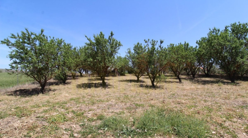 Málaga - Villanueva del Rosario - 4000m2