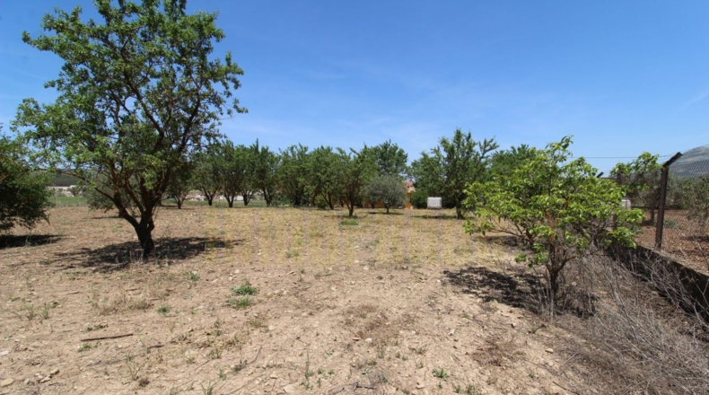 Málaga - Villanueva del Rosario - 4000m2