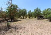 Xalet independent amb terreny en venda a Villanueva del Trabuco ref.: TR50467 foto