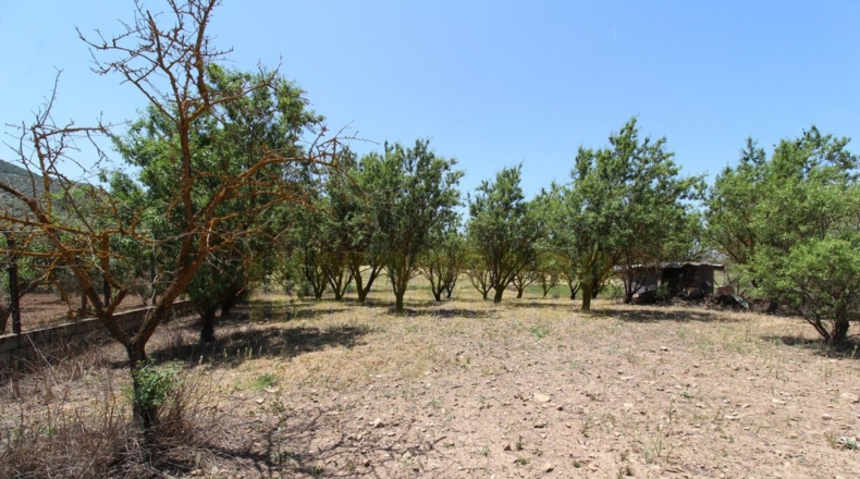 Málaga - Villanueva del Rosario - 4000m2