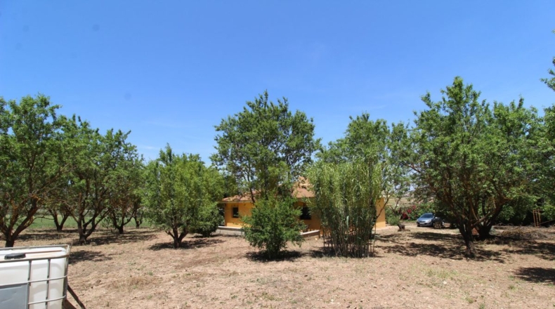 Málaga - Villanueva del Rosario - 4000m2
