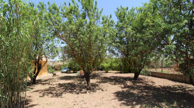 Málaga - Villanueva del Rosario - 4000m2