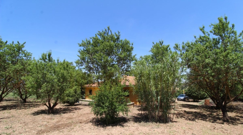 Málaga - Villanueva del Rosario - 4000m2