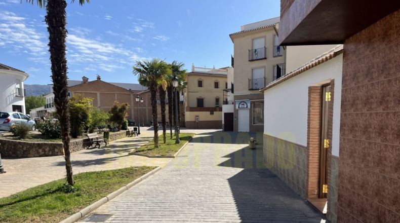 Málaga - Villanueva del Trabuco - 100m2