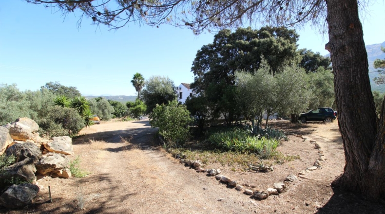 Málaga - Villanueva del Trabuco - 5500m2