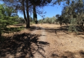 Masia amb terreny en venda a Villanueva del Trabuco ref.: TR186762 foto