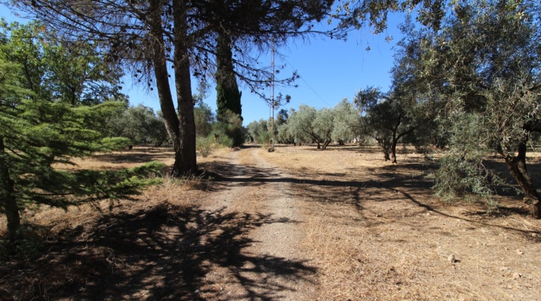 Málaga - Villanueva del Trabuco - 5500m2
