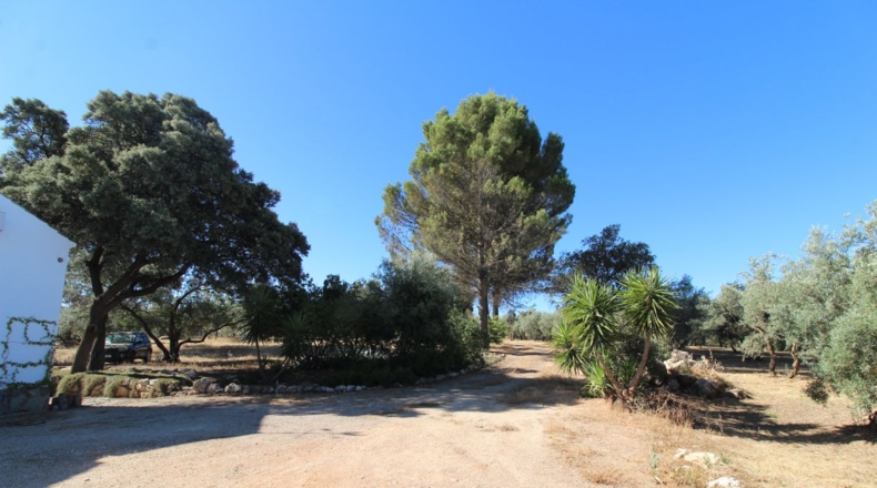 Málaga - Villanueva del Trabuco - 5500m2