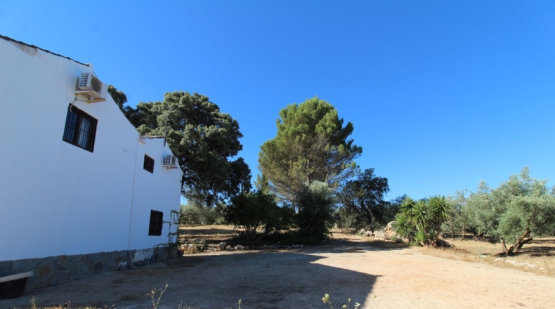 Málaga - Villanueva del Trabuco - 5500m2