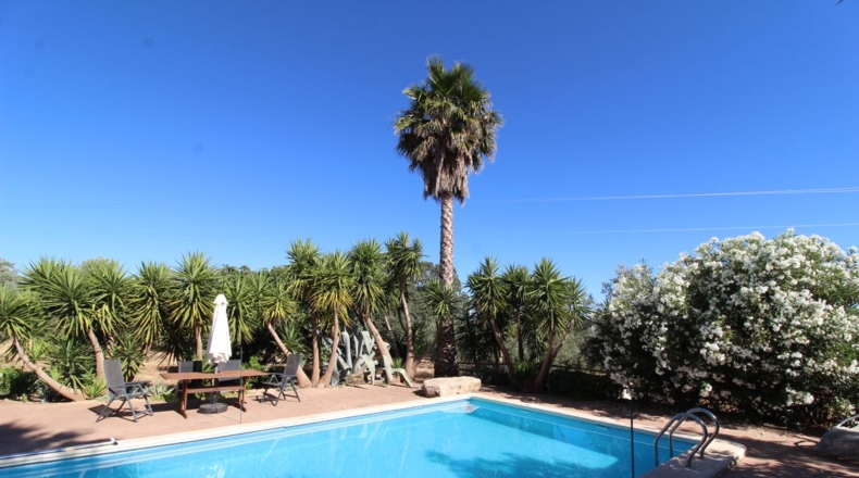 Málaga - Villanueva del Trabuco - 5500m2