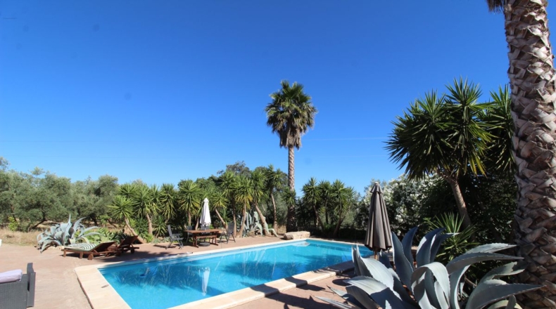 Málaga - Villanueva del Trabuco - 5500m2