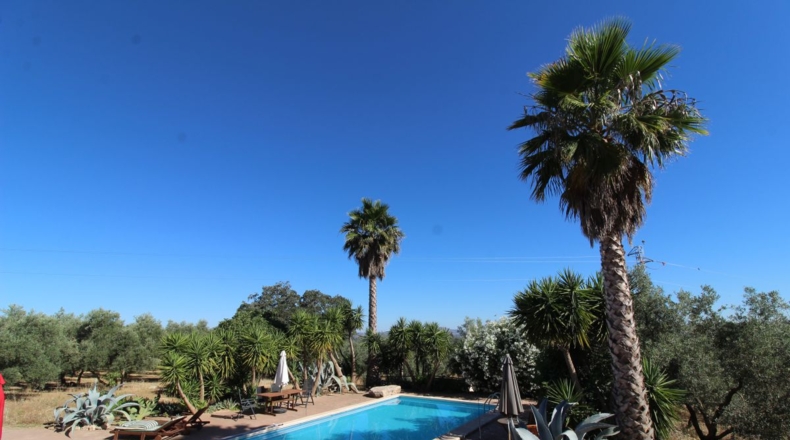 Málaga - Villanueva del Trabuco - 5500m2
