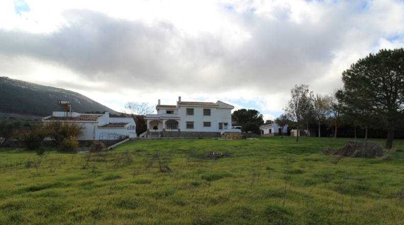 Málaga - Villanueva del Trabuco - 6000m2