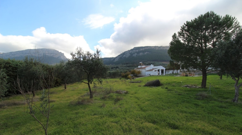 Málaga - Villanueva del Trabuco - 6000m2