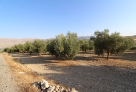 Loja 62981&nbsp;m² 