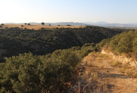 Loja 62981&nbsp;m² 