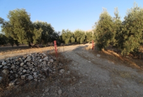 Loja 62981&nbsp;m² 