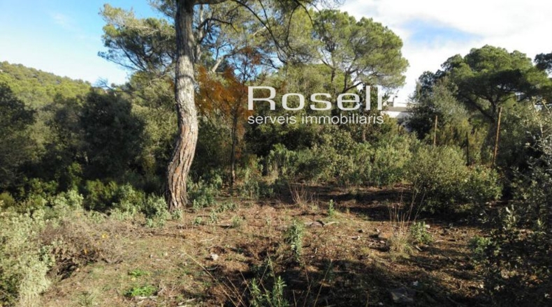 Barcelona - Vacarisses - 2400m2