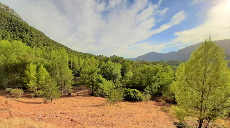 Jaén - La Iruela - 4972m2