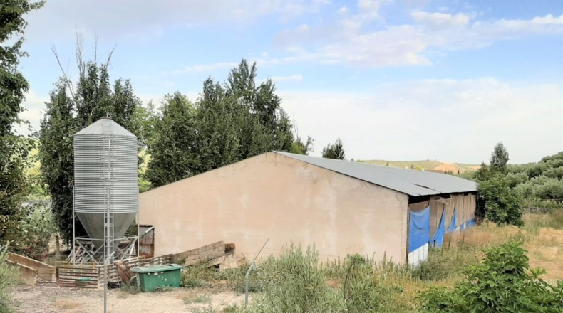 Jaén - Santo Tomé - 55000m2